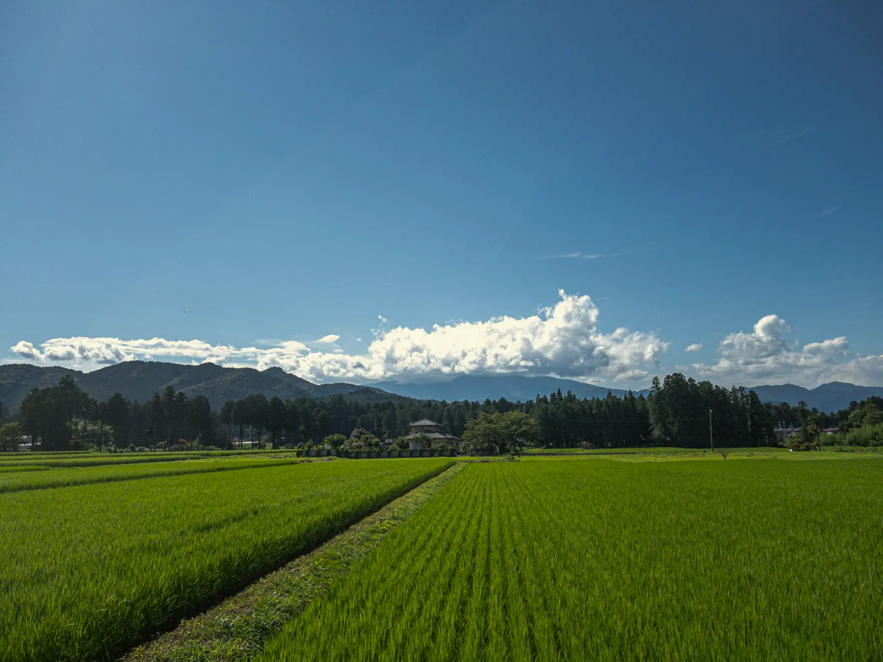 さとくらしの風景